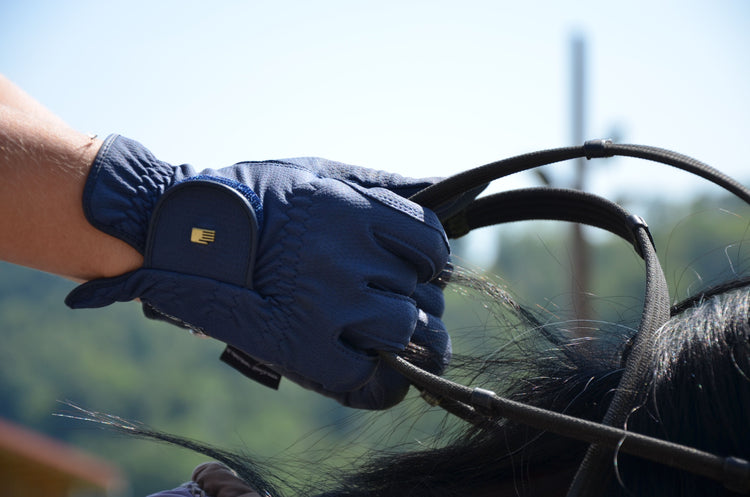 Accessoires pour le cavalier