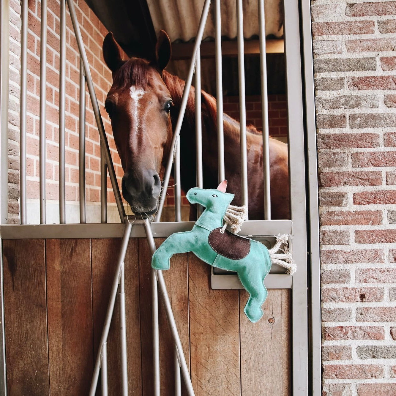 Jeux pour cheval