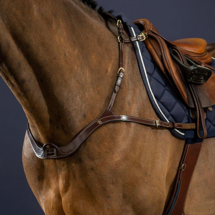 Martingales, colliers de chasse et pectoral