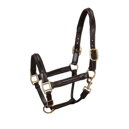 Licol en cuir Equestro avec boucles en laiton